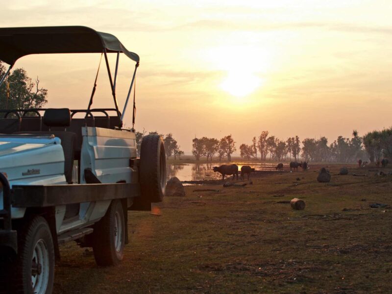 2-Bamurru-Plains-dropbox-Bamurru-Plains-dropbox-15-jeep-sunset