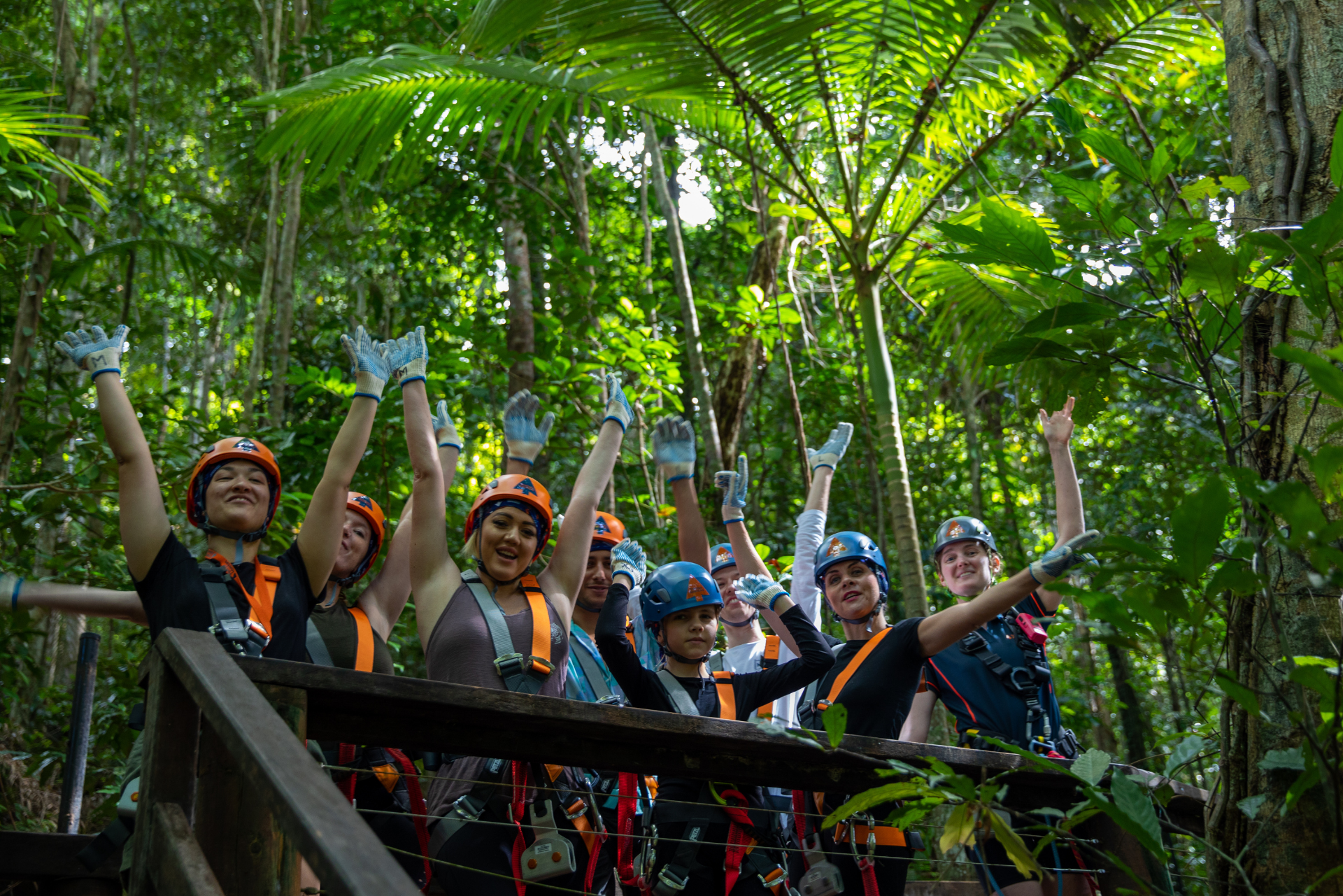 Swing into a Treetops Adventure at Cape Tribulation