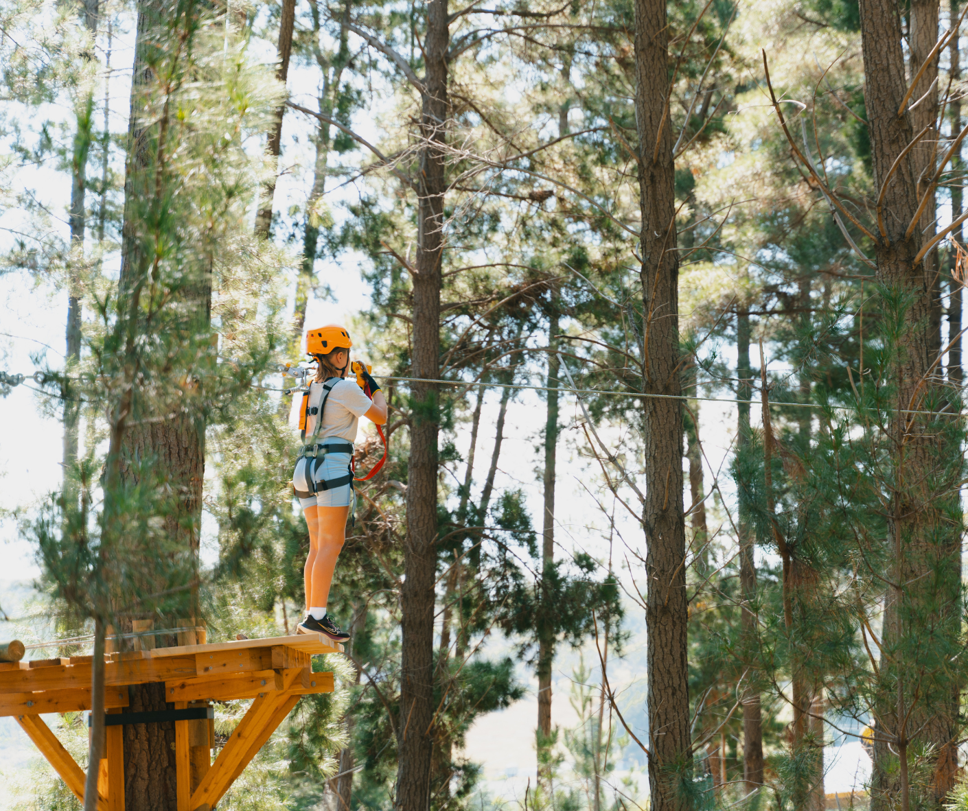 New Treetops Adventure park opens in Canberra